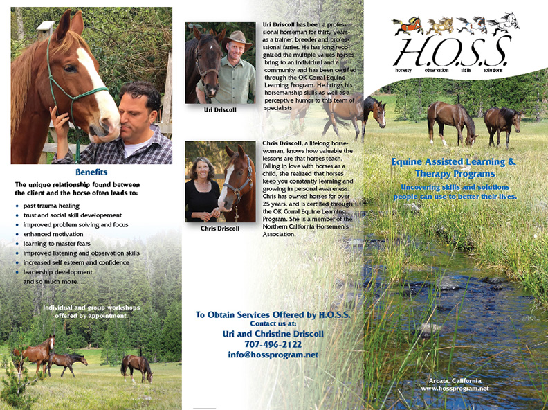 HOSS brochure